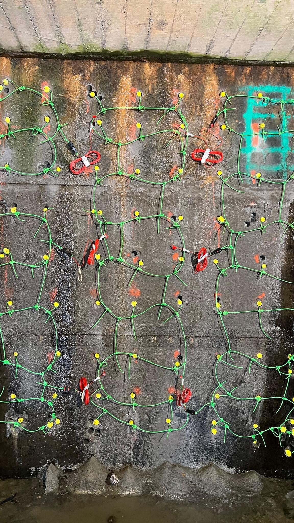 053e1103 290d 431c A7c3 C016f0ba2439